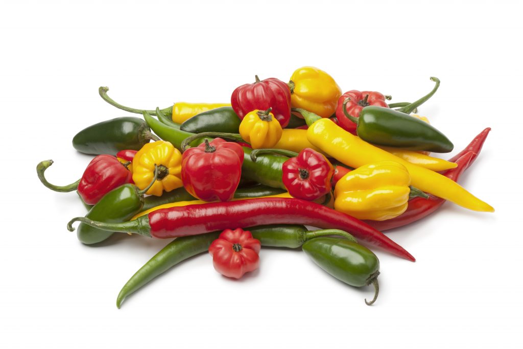 Różne rodzaje papryki chili